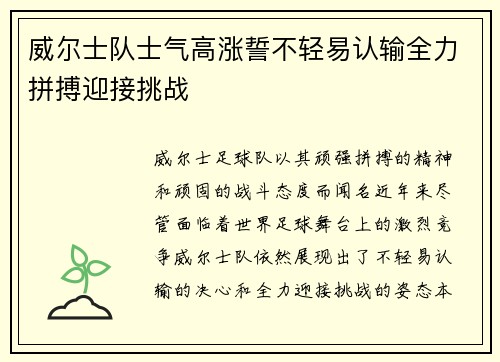 威尔士队士气高涨誓不轻易认输全力拼搏迎接挑战
