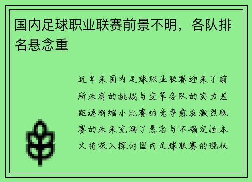 国内足球职业联赛前景不明，各队排名悬念重